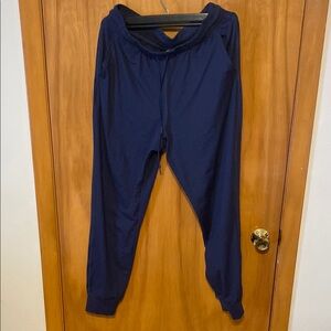 Fabletics Navy Blue Track Pants